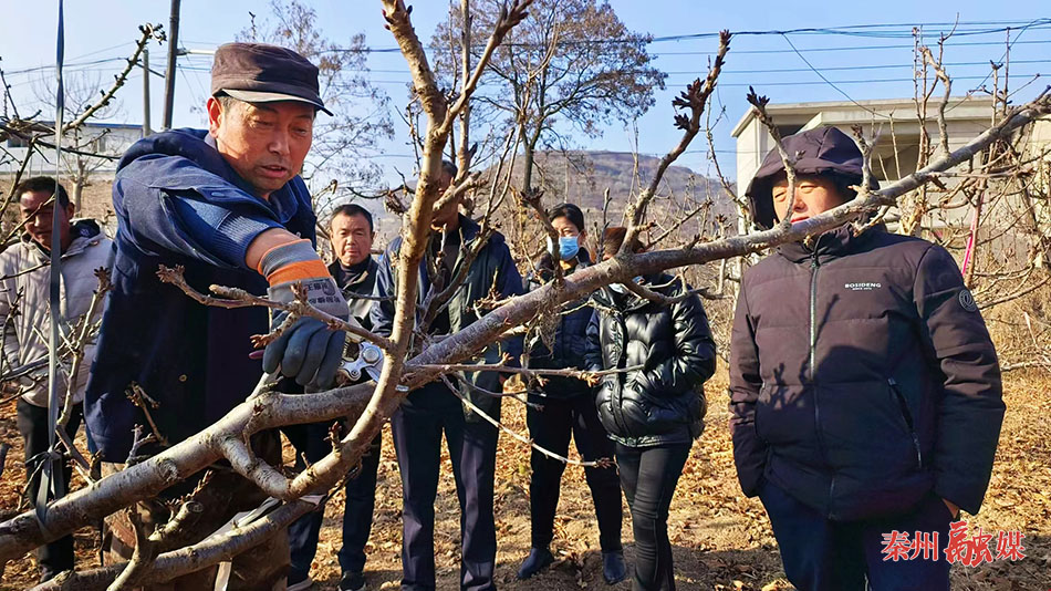 天水皂郊镇董家坪村“人大代表之家”： 办民生实事 履代表职责